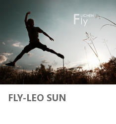 sun in leo astrology,Sun in Leo Astrology: A Detailed Exploration