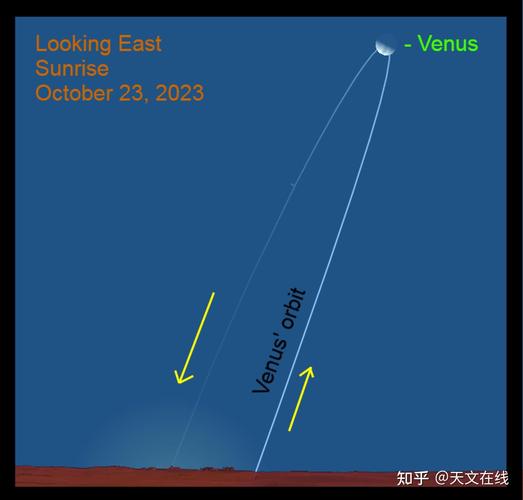 leo in venus,Leo in Venus: A Detailed Exploration