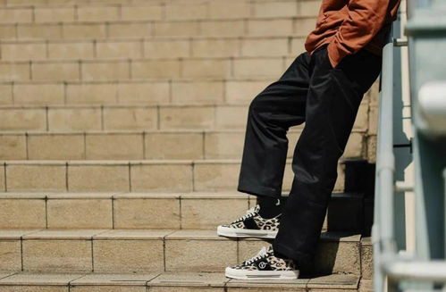 vans leo print,Vans Leo Print: A Comprehensive Guide