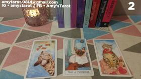 leo tarot reading,Leo Tarot Reading: A Comprehensive Guide