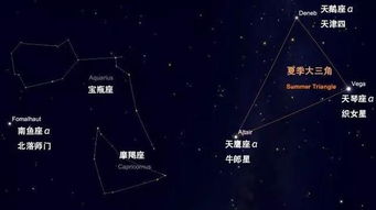 stars of leo constellation,Stars of Leo Constellation: A Detailed Multidimensional Introduction