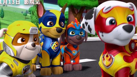 leo paw patrol,Characters: The Heroes of Adventure