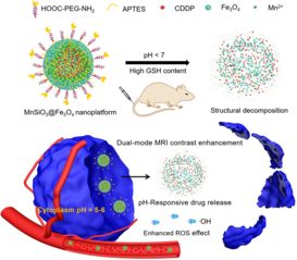 cusp of cancer and leo,Cusp of Cancer and Leo: A Detailed Exploration