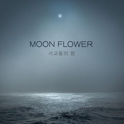 leo dicaprio flower moon,Leo Dicaprio Flower Moon: A Deep Dive into the Film’s Intricacies