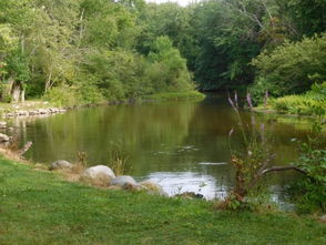 leos white lake,Location and Accessibility