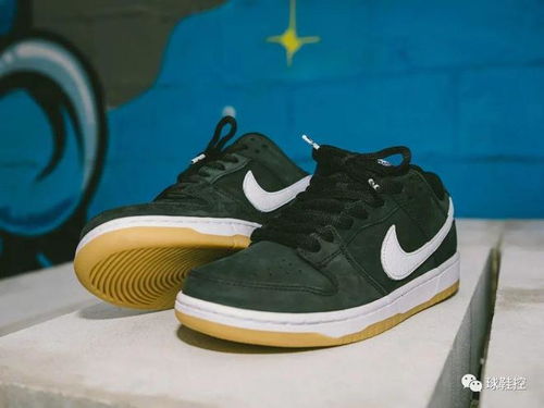 nike sb leo baker,Nike SB Leo Baker: A Comprehensive Guide