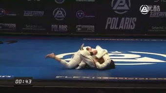 leo dalla jiu jitsu,Leo Dalla: A Pioneering Figure in Jiu Jitsu