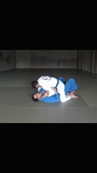 leo dalla brazilian jiu jitsu,Leo Dalla: The Brazilian Jiu Jitsu Sensation