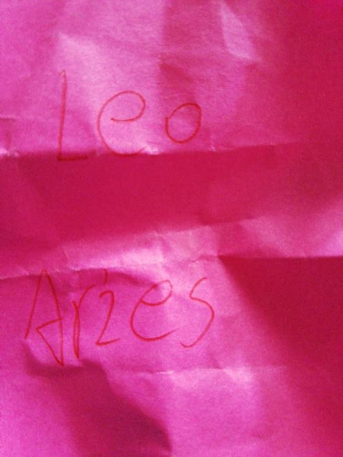 leo male aries woman,Leo Male Aries Woman: A Comprehensive Guide