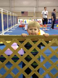 leos for gymnastics,Leos for Gymnastics: A Comprehensive Guide